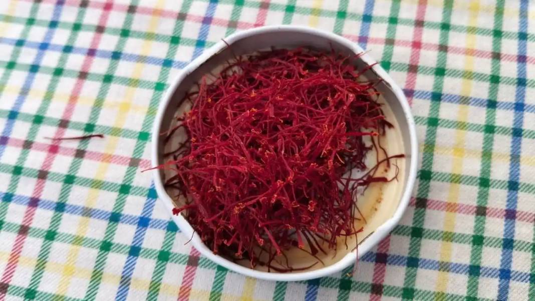 Adana’da Dünyanın En Pahalı Baharatı Safran Hasadı Başladı! 1